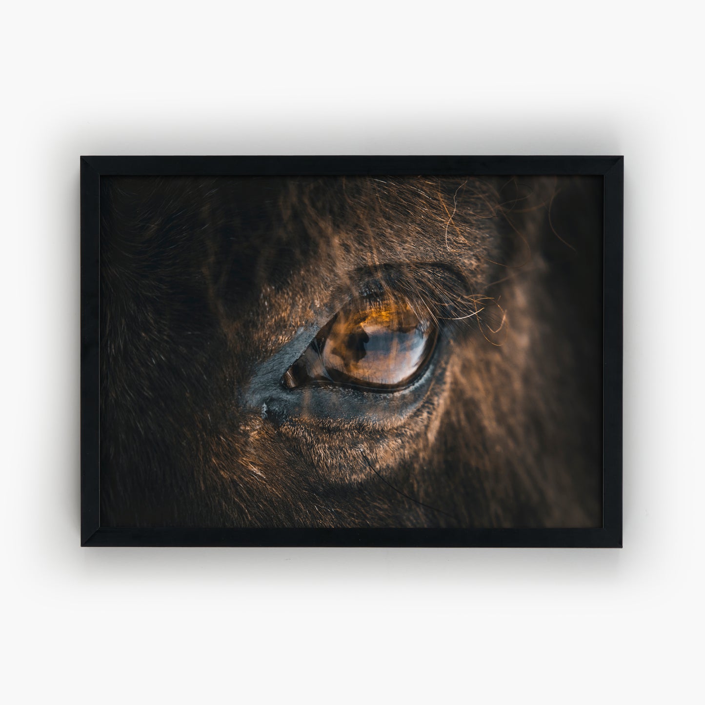 Reflection of Yourself